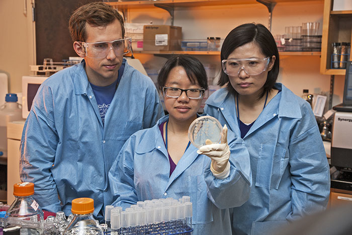 Three scientists in blue lab coats inspecting specimen